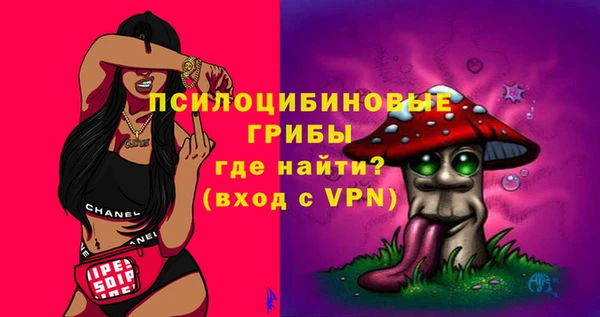 индика Алексеевка