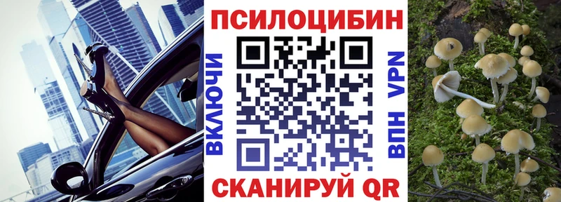 omg зеркало  Олонец  Псилоцибиновые грибы мухоморы  закладка 